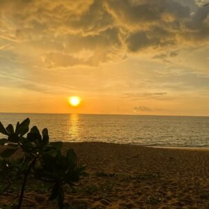 Resilience Retreat – Phuket – 30 October - 3 November 2026- (Sold through Space Bangkok)